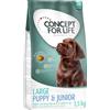 Concept for Life Large Junior Crocchette per Cani - 1,5 kg