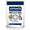 Affinity Advance Veterinary Diets Advance Veterinary Diets Recovery Mini umido per cani e gatti - Set %: 22 x 100 g