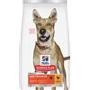 Hill's Science Plan Multipack risparmio! 2 x Hill's Science Plan Crocchette per cani - 2 x 14 kg Adult 1+ Performance con Pollo