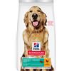 Hill's Science Plan Multipack risparmio! 2 x Hill's Science Plan Crocchette per cani - 2 x 12 kg Adult 1+ Perfect Weight Large con Pollo