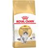 Royal Canin Breed Royal Canin Norvegese delle Foreste Adult Crocchette per gatto Set %: 2 x 10 kg