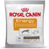 Royal Canin Energy Snack per cani - Set %: 4 x 50 g