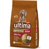 Affinity Ultima Ultima Medium/Maxi Senior Pollo Crocchette per cani - 12 kg