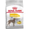 Royal Canin Care Nutrition Royal Canin Maxi Dermacomfort Crocchette per cane - 12 kg