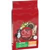 PURINA ONE Medium/Maxi Active Pollo Crocchette per cani - Set %: 2 x 7 kg