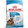 Royal Canin Size Royal Canin Maxi Starter Mother & Babydog - Set %: 2 x 15 kg