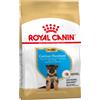 Royal Canin Breed Royal Canin Pastore tedesco (German Shepherd) Puppy Crocchette - 12 kg