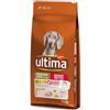 Affinity Ultima Ultima Medium/Maxi Senior Pollo Crocchette per cani - Set %: 2 x 12 kg