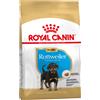 Royal Canin Breed Royal Canin Rottweiler Puppy Crocchette per cane - 12 kg