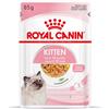 Royal Canin Kitten umido in Gelatina per gatti - Set %: 96 x 85 g