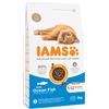 IAMS Advanced Nutrition Kitten Pesce oceanico Crocchette per gatto - Set %: 2 x 3 kg