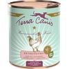 Terra Canis Senza cereali 12 x 800 g Alimento umido per cane - Pollo con Pastinaca, Tarassaco e More