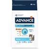 Affinity Advance Advance Kitten Pollo Crocchette per gatto - Set %: 2 x 1,5 kg
