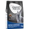 Concept for Life Multipack risparmio! 2 x Concept for Life per gatti - ricetta migliorata! - 2 x 3 kg British Shorthair Adult