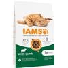 IAMS 2 x 10 / 15 kg Crocchette per gatto - Advanced Nutrition Adult Cat con Agnello (2 x 10 kg)