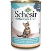 Schesir in Gelatina 12 x 140 g - Kitten Tonnetto con Aloe