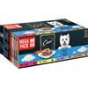 Cesar Senior 10+ in gelatina Umido per cane - 40 x 100 g