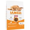 IAMS 2 x 10 / 15 kg Crocchette per gatto - Advanced Nutrition Indoor con Pollo fresco (2 x 10 kg)