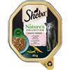 Sheba Nature's Collection in Salsa 22 x 85 g - con Salmone