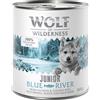 Wolf of Wilderness Junior 6 x 800 g umido per cane - Blue River - Pollo & Salmone