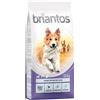 Briantos Adult Active Crocchette per cane - 14 kg