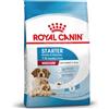 Royal Canin Size Royal Canin Medium Starter Mother & Babydog Crocchette per cane - 15 kg