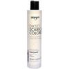 PROFESSIONALE SHAMPOO DECAPANTE SCARICACOLORE DIKSON 250 ml PROFESSIONALE PER PARRUCCHIERE