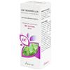 Adamah EIE Boswellia Estratto IdroEnzimatico Integratore, 60ml