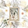 Dog's Booty (Bianco) Fiori Secchi Decorativi - Fiori Secchi Naturali per Artigianato DIY Scrapbooking e Candele Decorazione