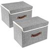 TYEERS Scatole Portaoggetti Tessuto, Lavabile, Scatole con Coperchio Pieghevole, 38x25x25 cm, Set di 2, Grigio