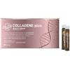 Dr. Viti - Dr viti collagene beauty drink plus 250 ml