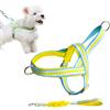 Pawsailor Anti-Tiro Regolabile Pettorina per Cani con Guinzaglio Impugnatura Morbida Imbottita Pettorina Cane Anti-Fuga A Strisce Colorate Easy Walk Pettorina Cani di Piccola e Media Taglia Giallo L