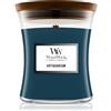 Woodwick Antiquarium 275 g