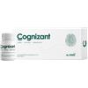 MC STONE ITALIA Srl Cognizant 10 flaconcini x 10 ml - MC STONE ITALIA - 984746103