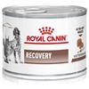 Royal canin Veterinary diet wet dog & cat recovery 195 g