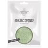 Fde konjac sponge te' verde 1 pezzo