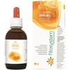 System immuno 50 ml