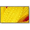 NEC DISPLAY SOLUTIONS NEC MultiSync M551-2 Design chiosco 127 cm (50") LED 4K Ultra HD Nero Processore integrato