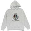 HARRY POTTER Bambino Felpa con Cappuccio (Grigio,9-10 Anni)