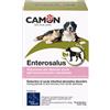 CAMON SpA ENTEROSALUS 20BUST 2.5G