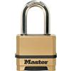 Master Lock Lucchetto ad Alta Sicurezza M175Eurdlf - Ideale per Portali, Garage, Sconto, Medium