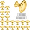 anneratteryer Pomelli Per Mobili Oro Rotondi, Lucidi - Per Bambini, Porte, Armadietti, Cassetti e Guardaroba - Accessori Mobili Con Viti Di Montaggio