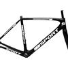 DualColorStampe Set 15 Adesivi Stickers Decal Telaio Bici Bicicletta adesivi telaio MTB Universale Protezione B0169 (BIANCO LUCIDO)