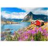 MyPuzzle.com MyPuzzle Tipiche Case Rosse Di Pescatori In Un Porto Delle Lofoten, Norvegia - Premium 500 Pezzi Puzzle - MyPuzzle Collezione speciale di Puzzle Galaxy