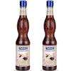 Fabbri Sciroppo Gourmet Vaniglia 560 ml (Confezione da 2)