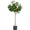 Botanik Leaf Design UK - Pianta artificiale di limone, in plastica, colore: nero