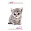 APTEX Asciugamano da bagno con gatto, 70 x 140 cm, multicolore