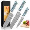 Home Safety 3 Pezzi Set di Coltelli da Cucina, Coltello Chef con 67 Strati di Acciaio Damascato VG-10 Lama da 12,4-19 cm, Coltello Santoku Kiritsuke Universale, Manico in Conchiglia di Abalone, Confezione Regalo