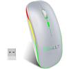 EasyULT Mouse Bluetooth Ricaricabile, Mouse Silenzioso a Due modalità (BT 5.1+2.4G Wireless), Mouse da Viaggio Portatile Senza Fili Ottico, 3 Livelli DPI(800/1200/1600), 4 Pulsanti(Argento)