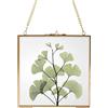 Homtone Cornice in vetro per fiori pressati 16x16 cm,Rettangolare con Catena in Metallo Retrò per Fiore Secco, Foto, Figura, Biglietto, Certificato, Oro